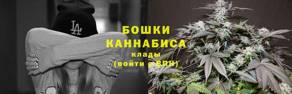 прущая мука Богданович